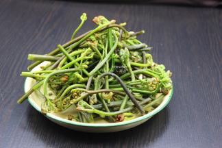 准备好新鲜的蕨菜，洗净，留嫩芽；