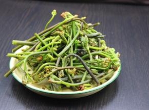 准备好新鲜的蕨菜，洗净，留嫩芽；