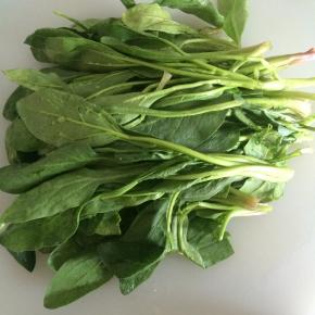 菠菜择洗干净