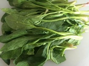 菠菜择洗干净