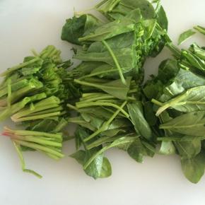 切成约1.5厘米的段