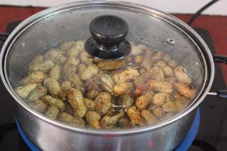 盖上盖子，中火煮沸；