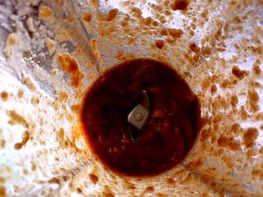 加水一起放入果汁机打成红枣泥，不喜欢颗粒感的可以多打一会，打的细腻些