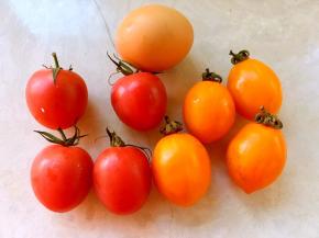 小西红柿洗干净