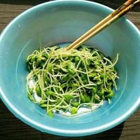 沥干水份放入容器中