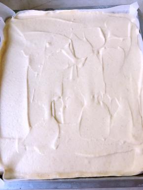 烤箱预热160度，烤盘铺油纸，翻拌好的面糊抬高倒入模具，用刮刀把表面刮平正，入烤箱烘烤35分钟