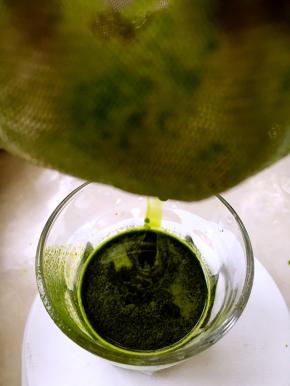 过滤出70克菠菜汁备用，剩下的材料也别丢掉，可以留着做菠菜饼，或者活成面团，包玉白菜饺子