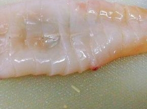 用刀在鱿鱼身上切，不要切断如图