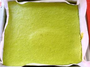 烤箱预热160度，烤盘铺油纸，将蛋糕糊倒入到烤盘内，用刮刀刮平整，之后再轻轻磕几下，震出气泡，入烤箱150度烤25分钟，出炉放一旁凉透备用