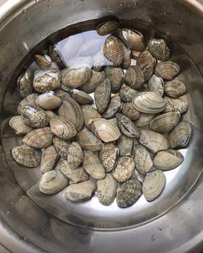 花甲选择一定要选择活的，放水里爬两小时以上