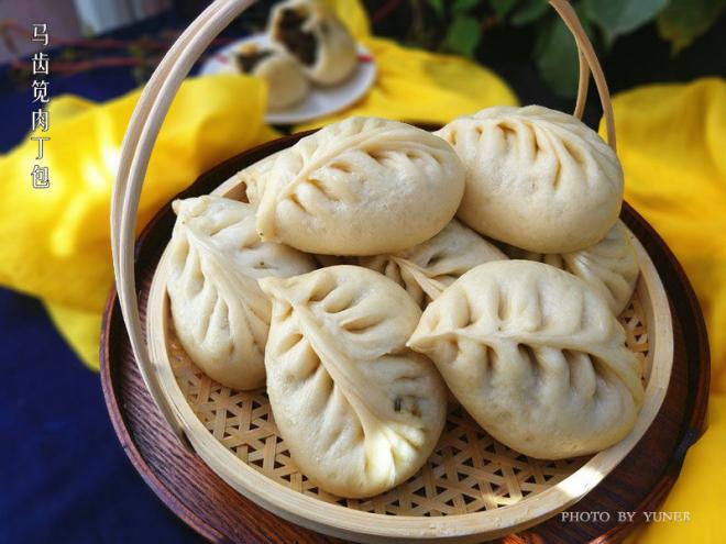 【马齿笕肉丁包】：野菜入馅，香浓味美！