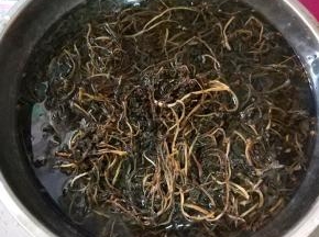 干的马齿笕放温水里泡四五个小时； 如果嫌时间长，也可用开水泡，时间会相对短些；