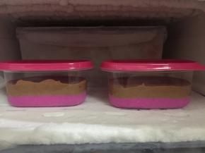 10. 送进冰箱冷冻半小时