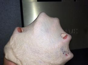 除辅料外的把在原料倒入厨师机中（注意酵母不要接触糖和盐），将面团揉至光滑，能抻出粗糙的薄膜即可；