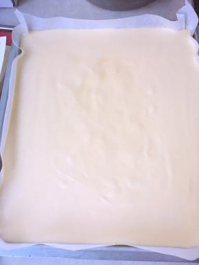 翻拌的过程把烤箱预热170度，烤盘铺油纸，面糊抬高20厘米倒入烤盘，这样可以减少气泡