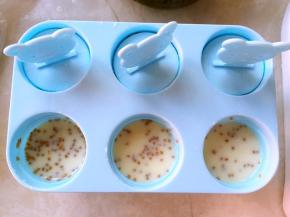 用小勺一点点倒入模具，9分满即可，之后插上棒冰棍，冰箱冷冻8个小时以上