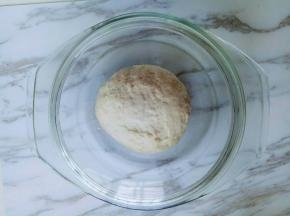 揉成面团，盖上盖子进行发酵。