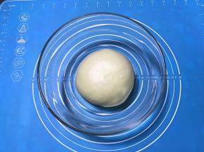 揉好的面团放入盆中，盖保鲜膜，放温暖处进行第一次发酵。