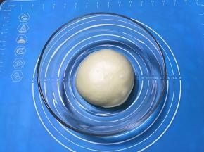 揉好的面团放入盆中，盖保鲜膜，放温暖处进行第一次发酵。