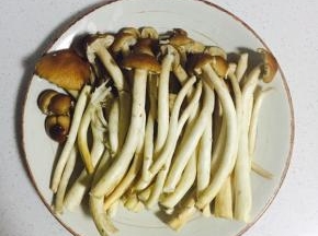 茶树菇洗净沥干水分备用