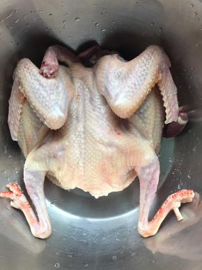 鸽子洗干净用厨房纸吸干水分