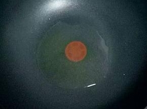 锅中倒入适量油烧热