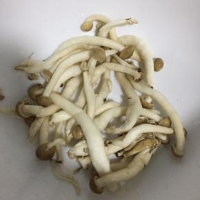 蘑菇洗净沥干水分