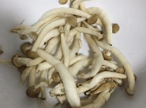 蘑菇洗净沥干水分