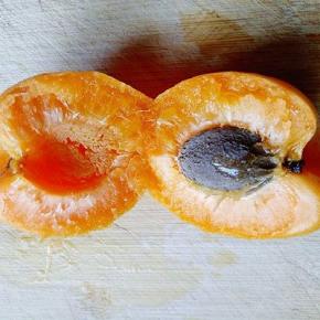 用手将杏掰开，去杏核。