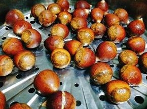 冷水上锅蒸