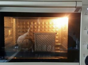 10．放入预热好的烤箱中上下火175度，中下层烤35分钟。