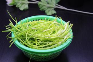 野葱挑选，洗净，沥干水分；
