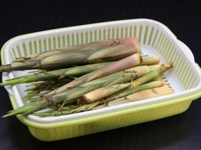准备好新鲜小竹笋，PS：要小笋比较适合凉拌；