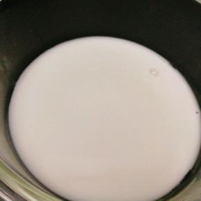 模具中先倒入第一层椰汁，然后放冰箱冷藏20分钟左右，视厚度而定，确定凝结后再倒入芒果泥，如此类推，直至完全倒完