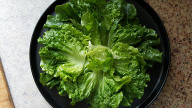 4．选几片形状漂亮的生菜叶，只留绿色叶子部分，将生菜叶摆在盘子上，围成一个圆形。