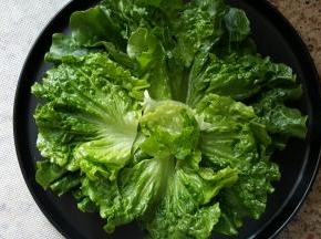 4．选几片形状漂亮的生菜叶，只留绿色叶子部分，将生菜叶摆在盘子上，围成一个圆形。