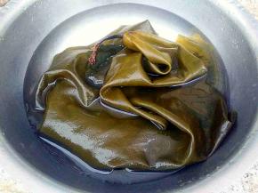 海带泡开，刷洗干净。