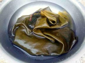 海带泡开，刷洗干净。