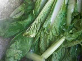 另一个锅里开水焯小白菜