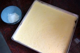 烤盘垫上吸油纸，抹上一层薄油，将蛋糕糊倒入，震荡出大气泡，表面撒上椰蓉。