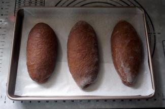 将面团卷起来，捏紧收口，放入烤盘，放入烤箱进行二次发酵。