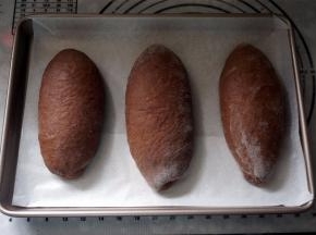 将面团卷起来，捏紧收口，放入烤盘，放入烤箱进行二次发酵。