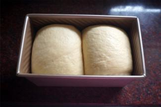 盖上保鲜膜，放在温暖处（例如烤箱内，用发酵程序），发至八九分满。