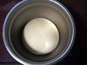 这是发酵好的中种面团。