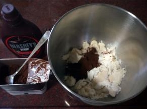 将黄油除外的主面团食材（高筋粉75克、牛奶33克、细砂糖27克、盐4克、全蛋液27克、巧克力酱40克、黄油21克、 酵母1克、可可粉5克）放入厨师机里，然后将发酵好的中种面团撕成小块放入，启动揉面，先慢后快。