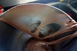 继续揉面至面团能拉出薄膜，破口光滑无锯齿。