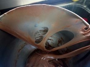 继续揉面至面团能拉出薄膜，破口光滑无锯齿。