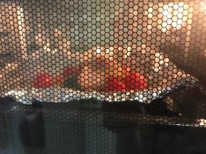 烤箱预热180度5分钟，烤20分钟左右。