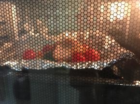 烤箱预热180度5分钟，烤20分钟左右。