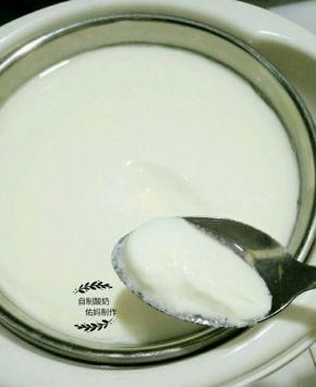 八小时之后酸奶就出来啦